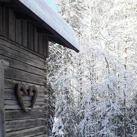 Seitsemisen Torpat Log