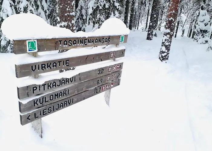 Seitsemisen Torpat Log Domek letniskowy